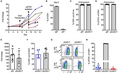 Gamma-Delta CAR-T Cells Show CAR-Directed and Independent Activity Against Leukemia